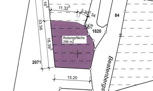 Rodungsgesuch mit Wiederaufforstung