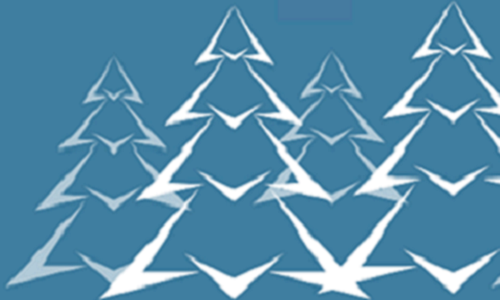 WINTER PARK INTERLAKEN - ein temporärer Erlebniswald aus Tannenbäumen